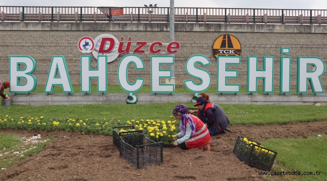 DÜZCE ÇİÇEKLENDİ