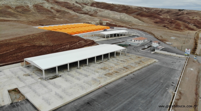 Modern Hayvan Pazarında Yer Tahsisi İçin Başvurular 1 Haziran'da