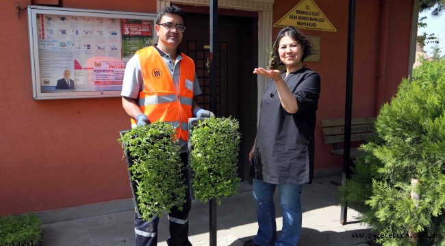 Tarımsal üretime teşvik