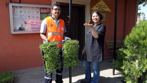 Tarımsal üretime teşvik