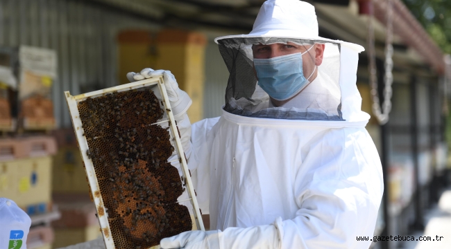 20 bin kraliçe evlerine uçtu