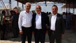 3'ünün kimliğinde doğum yeri 'Çal' yazıyor, 3 farklı ilçeyi yönetiyorlar.