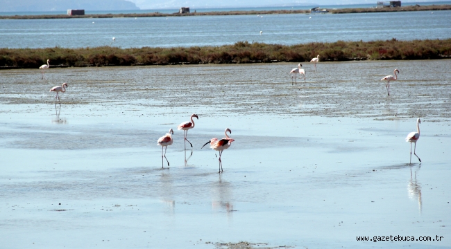Kuş Cenneti'ne anjiyo: