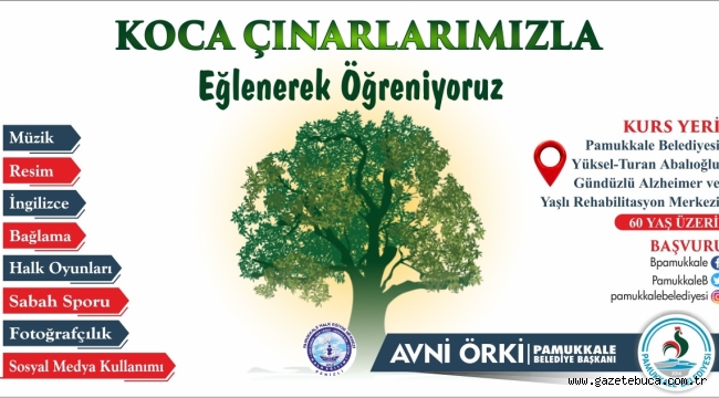 PAMUKKALE BELEDİYESİ'NDEN KOCA ÇINARLARA MÜJDE