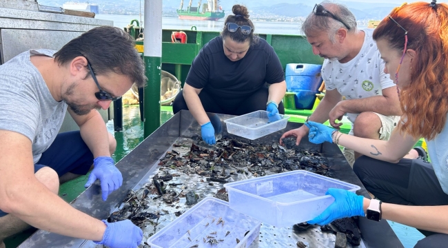 Dip çamurunun biyoçeşitliliğe etkisi araştırılıyor