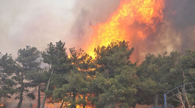 Kocaeli İtfaiyesi orman yangınlarına karşı uyardı