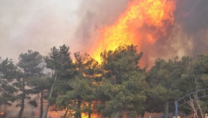 Kocaeli İtfaiyesi orman yangınlarına karşı uyardı