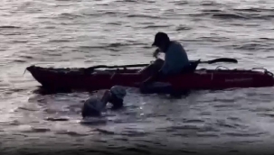 İki Türk sporcu, California'daki Catalina Kanalı'nı 13 saatte yüzerek geçti