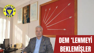 DEM'LENMEYİ BEKLEMİŞLER!