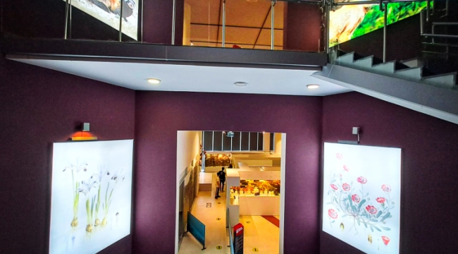 Yaşama dair her şey bu müzede: Hayatın kaynağına yolculuk