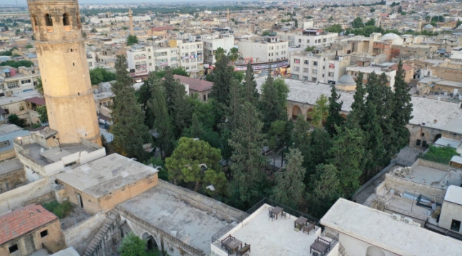Depremde hasar gören Şanlıurfa'daki tarihi Ulu Cami onarılıyor