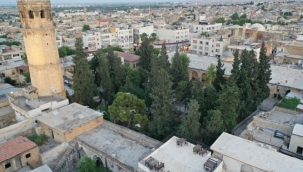 Depremde hasar gören Şanlıurfa'daki tarihi Ulu Cami onarılıyor