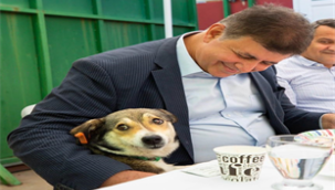 Başkan Tugay'dan sokaktaki canlar için önemli adım