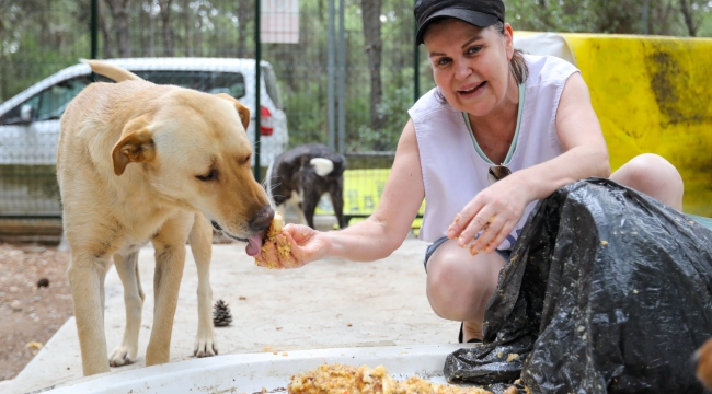 BUCA'DA KALAN YEMEKLER PATİLİ DOSTLARA GİDİYOR
