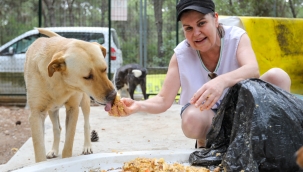 BUCA'DA KALAN YEMEKLER PATİLİ DOSTLARA GİDİYOR