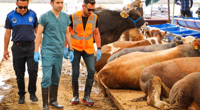 Buca'da kurban pazarlarında sıkı denetim