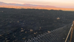 Mardin'de 9 ayrı noktada yangın