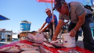 Usta denizcilerin kenti 'Eski Foça'