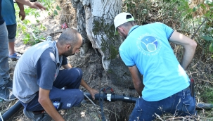 Başkan Akın Erdek te 20 bin zeytin ağacını suya kavuşturdu