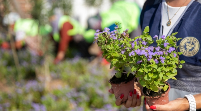 BUCA'NIN CADDELERİ ÇİÇEK AÇTI