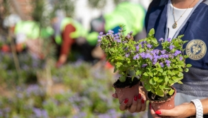 BUCA'NIN CADDELERİ ÇİÇEK AÇTI