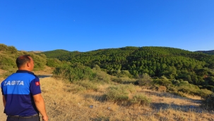 Güzelbahçe Belediyesi'nden Aralıksız Orman Nöbeti Başladı
