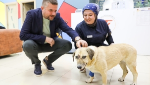 Saldırıya uğrayan can dostuna Buca Belediye Başkanı Duman'dan ziyaret