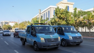 Buca Belediyesi, beyaz sineklere karşı ilaçlama başlattı