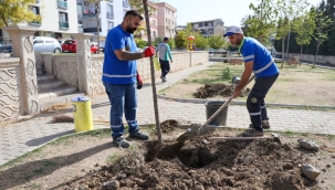 Buca'da yeşil seferberlik
