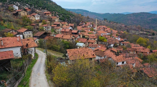 Türkiye'de şehirleşme artıyor, kırsal nüfus azalıyor