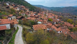 Türkiye'de şehirleşme artıyor, kırsal nüfus azalıyor