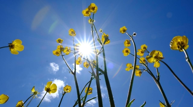 Sıcaklıklar artıyor, Türkiye bahar havasına giriyor