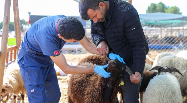 Buca'da Kurban Bayramı öncesi sıkı denetim