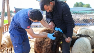 Buca'da Kurban Bayramı öncesi sıkı denetim