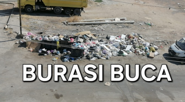 Buca'da Çöp Sorunu Büyüyor: Halk Sağlığı Tehlikede